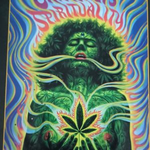 Cannabis Spirituality by Stephen Gaskin